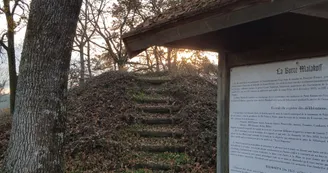 10635463.jpg 10635463.jpg