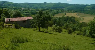 3447467.jpg 3447467.jpg